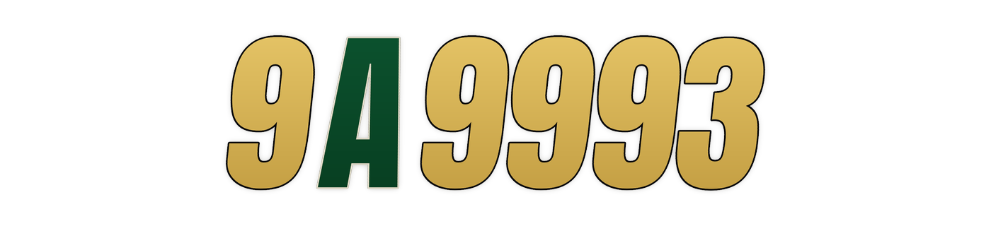 9a9993